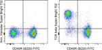 TCR beta Antibody in Flow Cytometry (Flow)