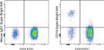 CD19 Antibody in Flow Cytometry (Flow)