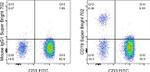 CD19 Antibody in Flow Cytometry (Flow)