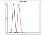 Albumin Antibody in Flow Cytometry (Flow)