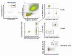 CD3e Antibody in Flow Cytometry (Flow)