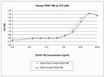 Human PDGF-BB Protein in Functional Assay (Functional)