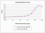 Human PDGF-BB Protein in Functional Assay (FN)