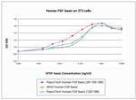 Human FGF-basic (FGF-2/bFGF) (154 aa) Protein in Functional Assay (Functional)