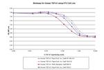 Human TGF-beta 1 Protein in Functional Assay (Functional)