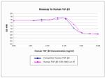 Human TGF-beta 3 Protein in Functional Assay (Functional)