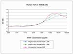 Human HGF Protein in Functional Assay (FN)