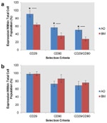 CD90.1 (Thy-1.1) Antibody in Flow Cytometry (Flow)