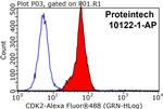 CDK2 Antibody in Flow Cytometry (Flow)