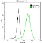 Cytokeratin 15 Antibody in Flow Cytometry (Flow)