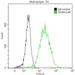 Cytokeratin 13 Antibody in Flow Cytometry (Flow)