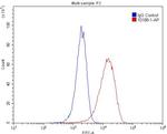 TGFBI / BIGH3 Antibody in Flow Cytometry (Flow)