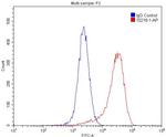 CDC37 Antibody in Flow Cytometry (Flow)