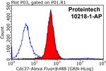 CDC37 Antibody in Flow Cytometry (Flow)