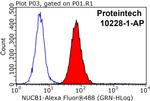 nucleobindin 1 Antibody in Flow Cytometry (Flow)