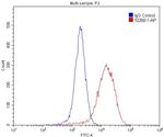 IkB alpha Antibody in Flow Cytometry (Flow)