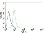 p27Kip1 (Mitotic Inhibitor/Suppressor Protein) Antibody in Flow Cytometry (Flow)