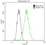 PLK1 Antibody in Flow Cytometry (Flow)