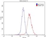 GPRC5A/RAI3 Antibody in Flow Cytometry (Flow)