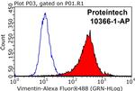 Vimentin Antibody in Flow Cytometry (Flow)