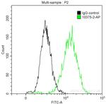 MMP9 (N-terminal) Antibody in Flow Cytometry (Flow)