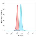 Interferon regulatory factor 9/IRF-9 Antibody in Flow Cytometry (Flow)