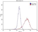 Cytokeratin 8 Antibody in Flow Cytometry (Flow)