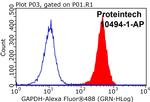 GAPDH Antibody in Flow Cytometry (Flow)