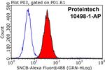 SNCB Antibody in Flow Cytometry (Flow)