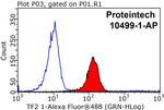 TFII I Antibody in Flow Cytometry (Flow)