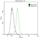 SURVIVIN Antibody in Flow Cytometry (Flow)