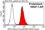 IRF5 Antibody in Flow Cytometry (Flow)