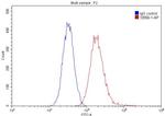 NCL Antibody in Flow Cytometry (Flow)