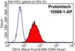 GYS1 Antibody in Flow Cytometry (Flow)