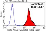 CCT3 Antibody in Flow Cytometry (Flow)