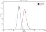 SUV39H1 Antibody in Flow Cytometry (Flow)