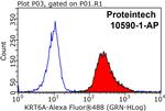 Cytokeratin 6A Antibody in Flow Cytometry (Flow)