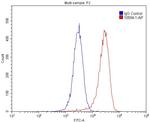 PEX14 Antibody in Flow Cytometry (Flow)