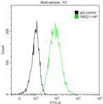 14-3-3 Sigma Antibody in Flow Cytometry (Flow)