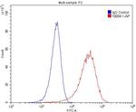 TIP47 Antibody in Flow Cytometry (Flow)