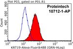 Cytokeratin 19 Antibody in Flow Cytometry (Flow)