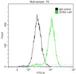 CDK1 Antibody in Flow Cytometry (Flow)