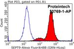 SEPT9 Antibody in Flow Cytometry (Flow)