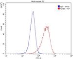 LDLR Antibody in Flow Cytometry (Flow)