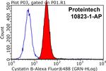 Cystatin B Antibody in Flow Cytometry (Flow)