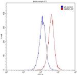 c-MYC Antibody in Flow Cytometry (Flow)