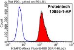 Histone H2A.X Antibody in Flow Cytometry (Flow)