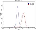 MECP2 Antibody in Flow Cytometry (Flow)