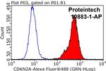 P16-INK4A Antibody in Flow Cytometry (Flow)
