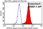 VPS18 Antibody in Flow Cytometry (Flow)
